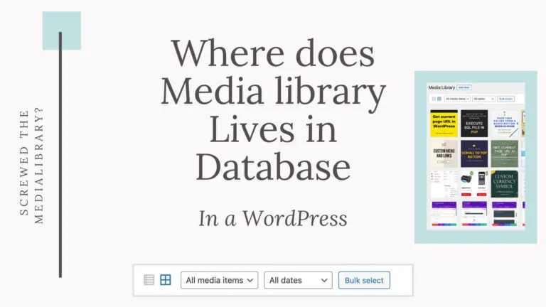 Where does the Media Library lives in the database?