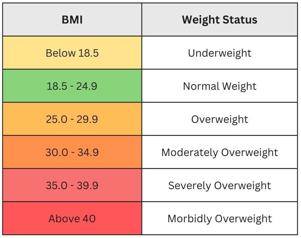 Comprehensive Guide to Building a BMI Calculator with JavaScript BMI Table